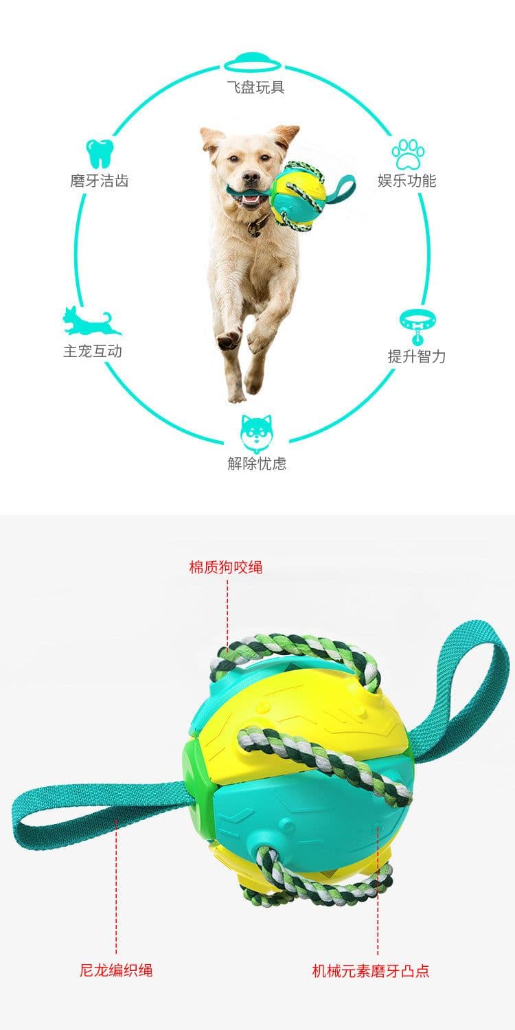 image-Dog Frisbee Toy - Interactive Outdoor Training