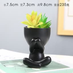 image-Sanwuxuan Nordic Ceramic Succulent Pot