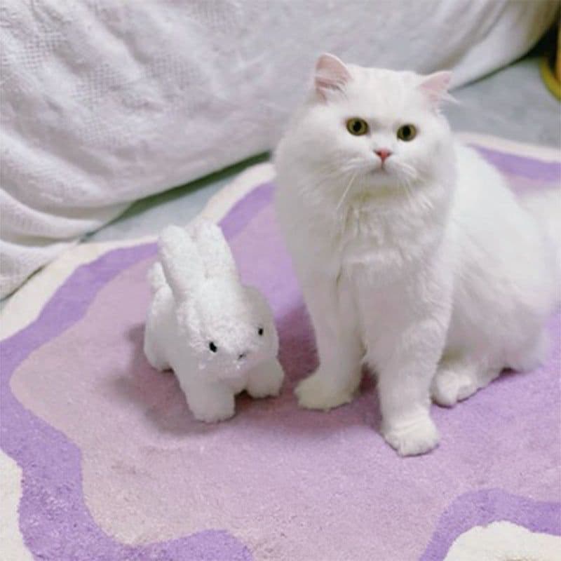 image-In stock Gradient deformed imitation cashmere living room carpet home bedroom full splicing carpet cat internet celebrity cushion