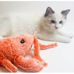 image-Jumping Shrimp Cat Toy - Electric Catnip Plush