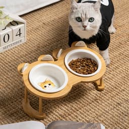 image-Cat & Dog Ceramic Double Bowl - Elevated Feeder