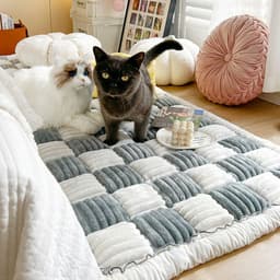 image-Foreign trade thickened ins wind cream color autumn and winter plush bedside mat non-slip rectangular bun mat tatami mat
