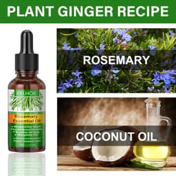 image-EELHOE Rosemary Hair Essential Oil 30ml