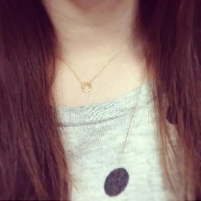 image-Creative Korean Horseshoe Gold Clavicle Necklace Simple