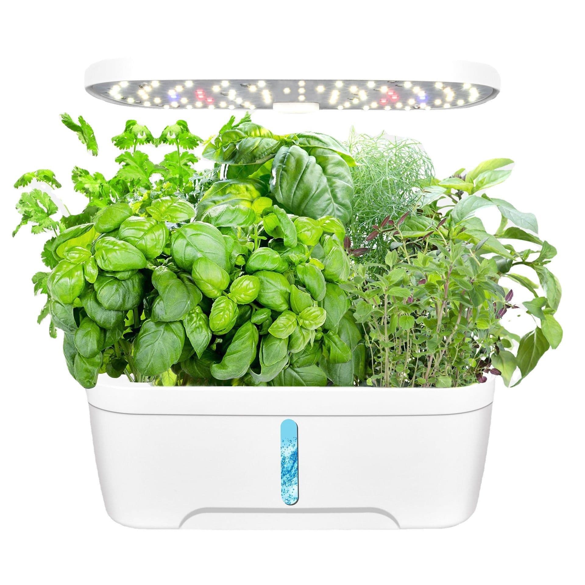 image-Qinglin Hydroponic Planter 12-Hole Indoor Plant Grow