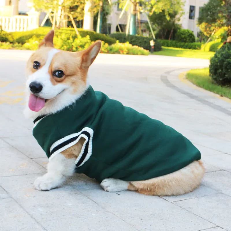 image-Dog Corgi Knitted Sweater Autumn Winter
