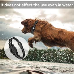 image-Dog Collar for Apple AirTag - Pet