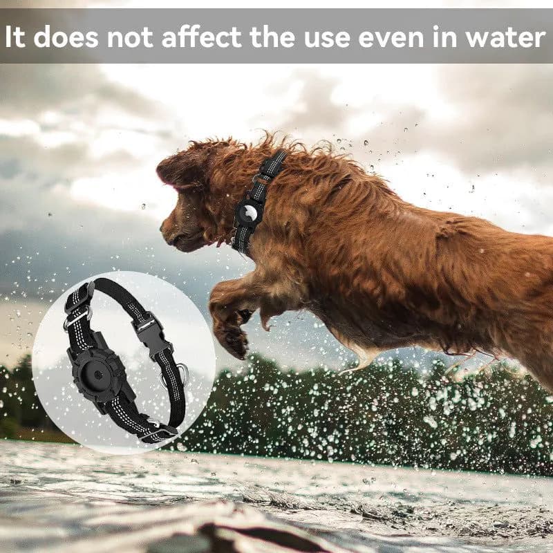 image-Dog Collar for Apple AirTag - Pet