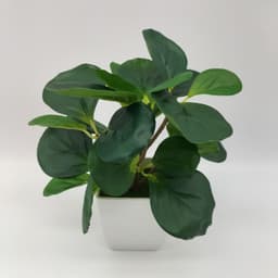 image-Simulation Watermelon Leaf Potted Plant - Monstera