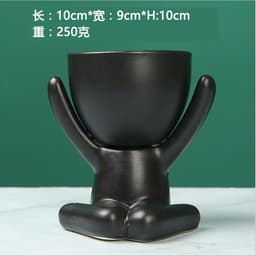 image-Sanwuxuan Nordic Ceramic Succulent Pot
