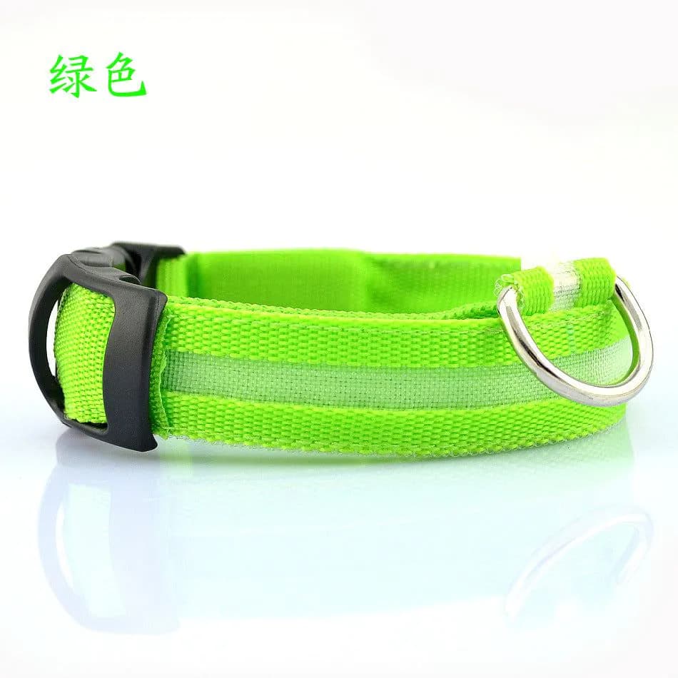 image-Si Sheng LED Dog Collar - Light Up XL