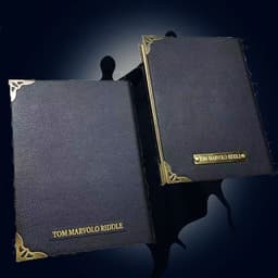 image-Tom Riddle Diary Harry Potter Notebook Slytherin Voldemort 120 Pages