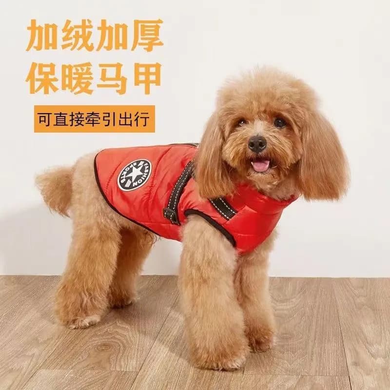 image-Pet Winter Coat - Small Dogs & Cats Cotton Warm Red S