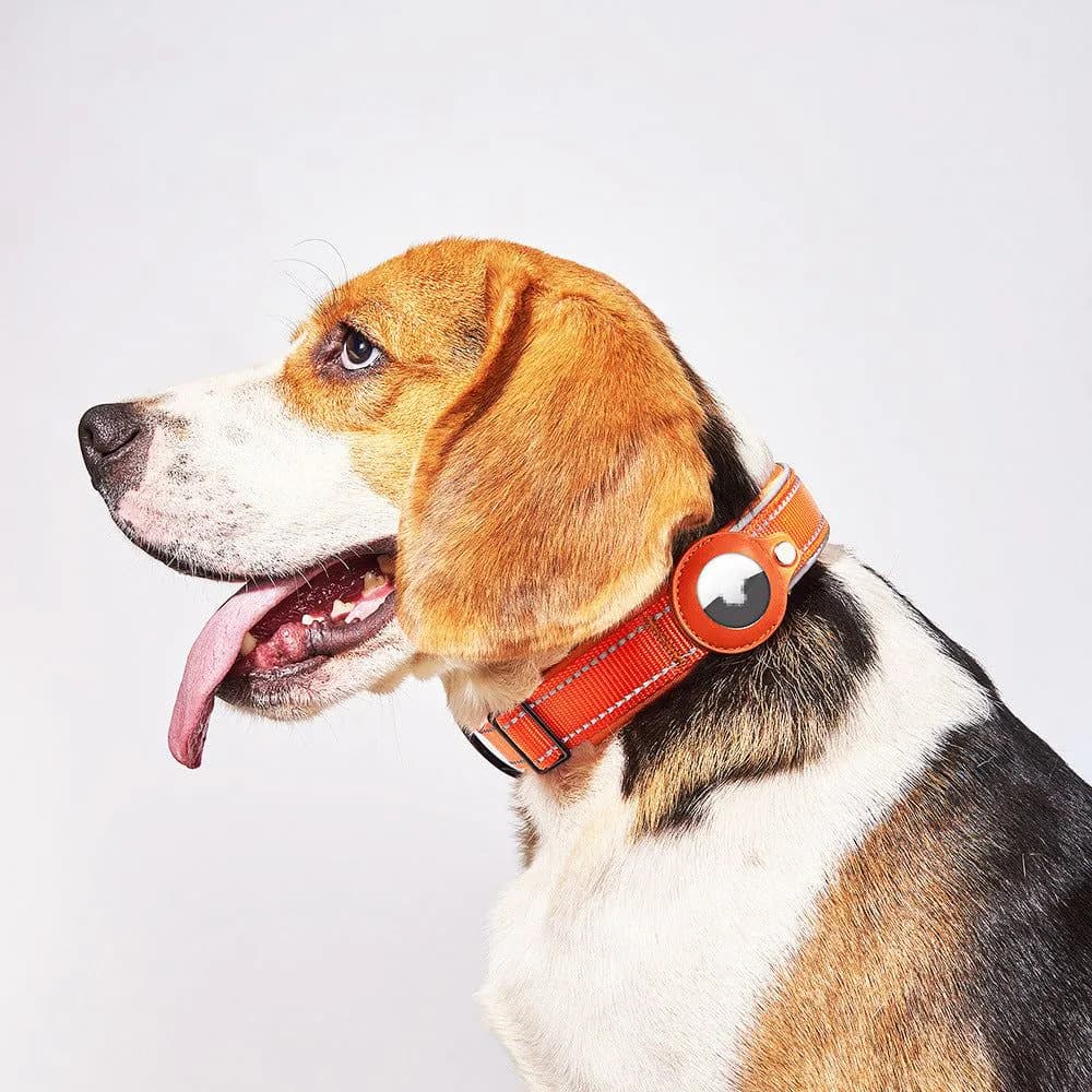 image-Wanda Pet Collar Tracker XL - Grass Green Nylon