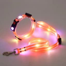 image-LED Pet Collar USB Charging - Nylon Black