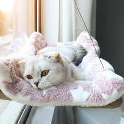 image-Pet Hammock - Suction Cup Cat Nest - Mint Green - Washable