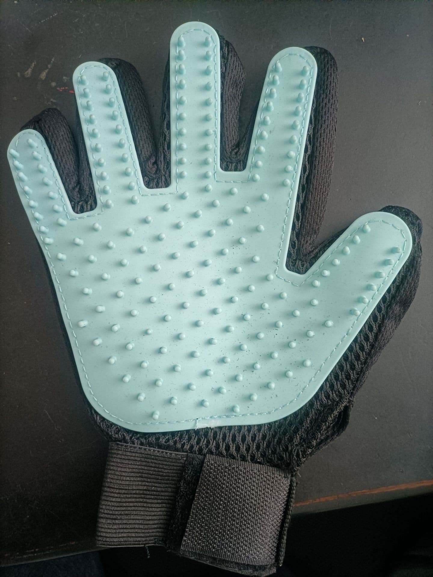image-Easy Lion Rubber Pet Cleaning Gloves - Green Left - Cat Grooming Brush