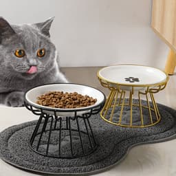 image-Ceramic Cat Bowl Set with Tall Neck Protector - Anti-Tipping Pet Bowls (57 characters)
