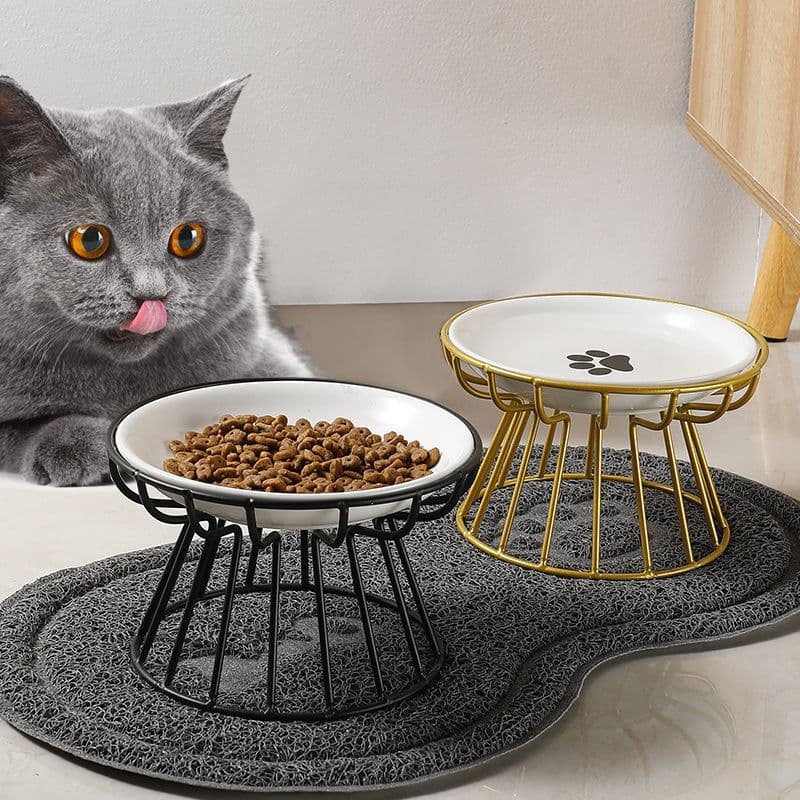 image-Ceramic Cat Bowl Set with Tall Neck Protector - Anti-Tipping Pet Bowls (57 characters)