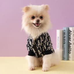 image-Pomeranian French Bulldog Dog Coat - Black XXL