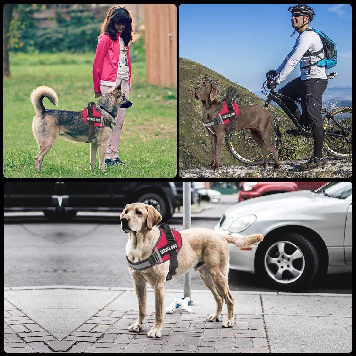 image-Pet Dog Reflective Harness Leash - Pink XXL
