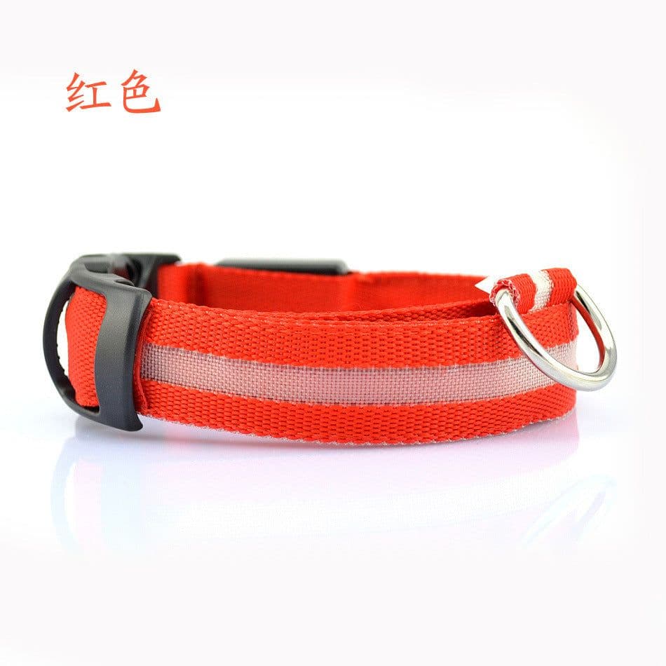 image-Si Sheng LED Dog Collar - Light Up XL