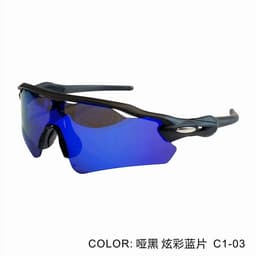 image-PARD HORSE L9208 Cycling Sunglasses - TR90 UV Protection