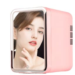 image-6L Dual-Purpose Car Refrigerator - Pink/White/Gray, USB, 48W, 12V