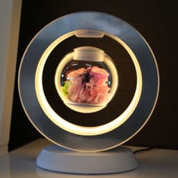 image-Rose Lovers Magnetic Levitation Flower - Blue