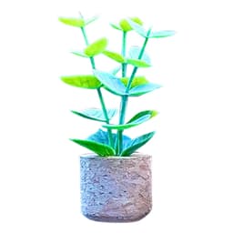 image-Creative succulent cactus potted car air-conditioning outlet aromatherapy clip car aromatherapy cotton car interior decoration