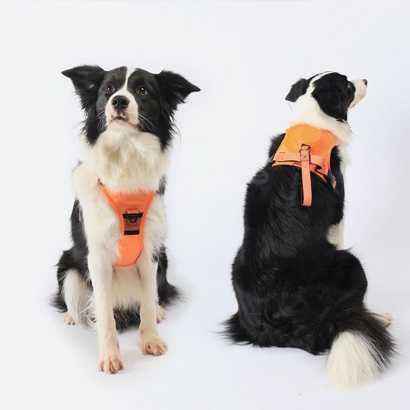 image-SmartLove Pet Chest Harness - Royal Blue M
