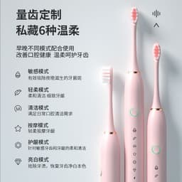 image-Electric Toothbrush USB Rechargeable Waterproof