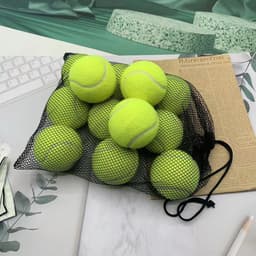 image-Elementary training tennis beginners high elasticity resistant tennis 1.3 meters elastic training tennis competition training