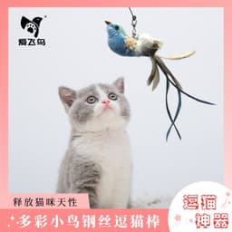 image-Cat Teaser Toy - Colorful Feather Bird Steel Wire Rod