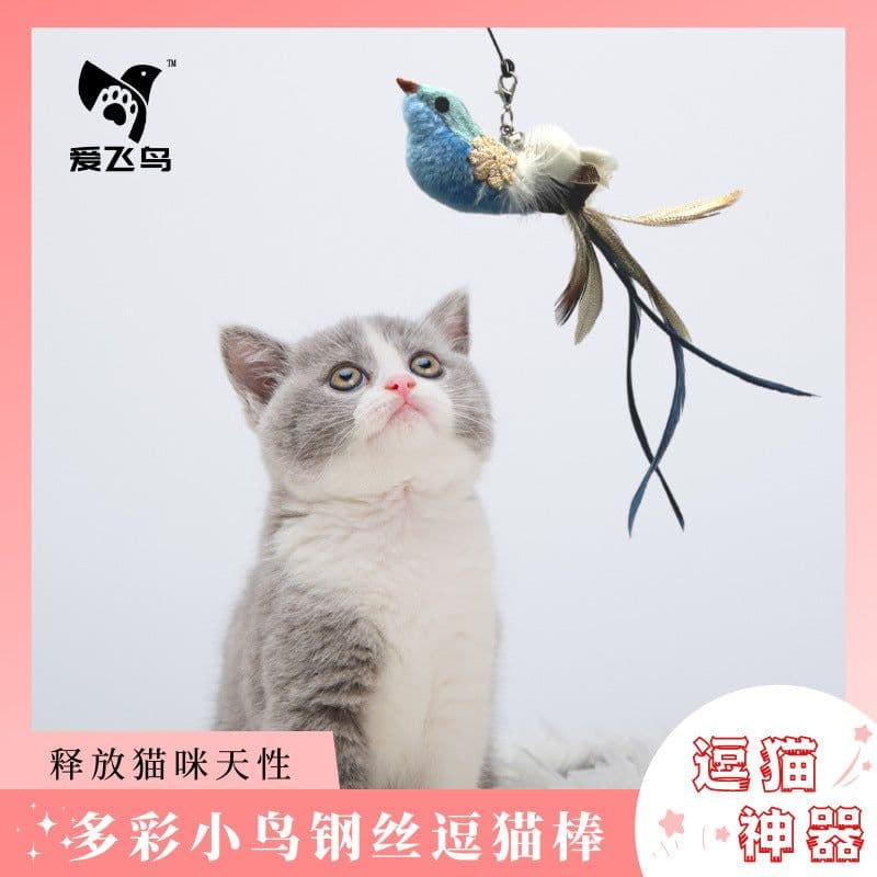 image-Cat Teaser Toy - Colorful Feather Bird Steel Wire Rod