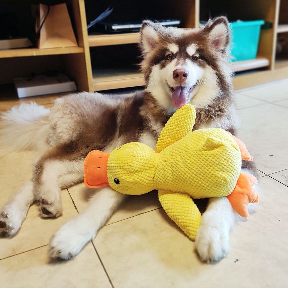 image-Dog Toy Plush Bite-Resistant Sound Toy - Yellow Duck 38cm