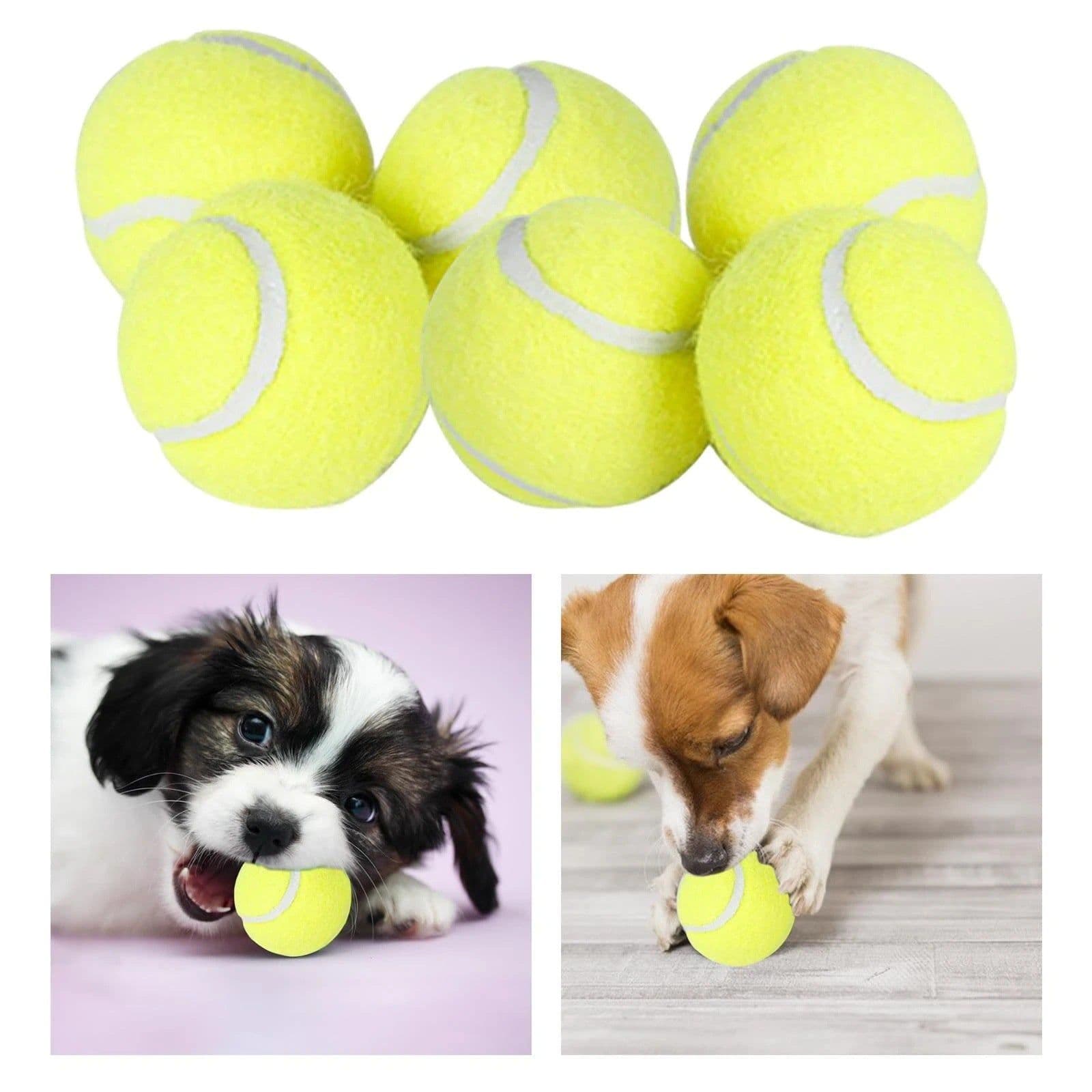 image-Pet Tennis Ball Launcher - 5cm Small Ball