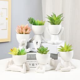 image-Sanwuxuan Nordic Ceramic Succulent Pot