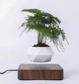 image-Magnetic Levitation Potted Plant