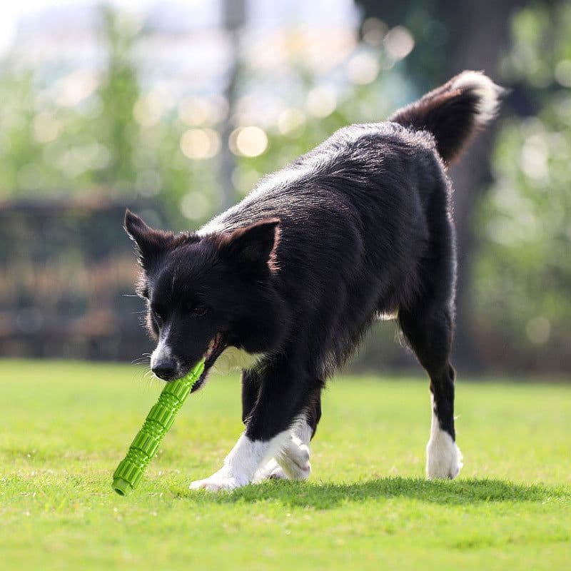 image-Dog TPR Chew Stick - Green 23cm Teeth Cleaning Toy