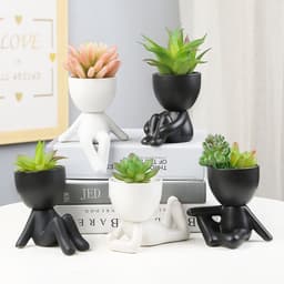 image-Sanwuxuan Nordic Ceramic Succulent Pot