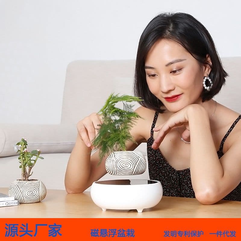 image-Creative magnetic levitation imitation ceramic flowerpot office personality desktop living room decoration balcony succulent potted planting decoration