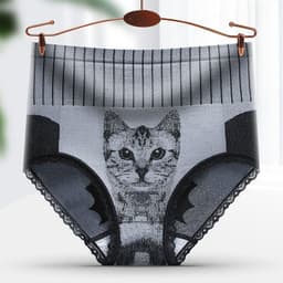 image-Palace Cat High Waist Corset Briefs - Large Graphene
