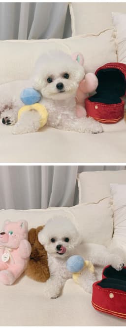 image-Ins Korean diamond ring set dog vocal toy pet Tibetan food toy foreign trade original single pets