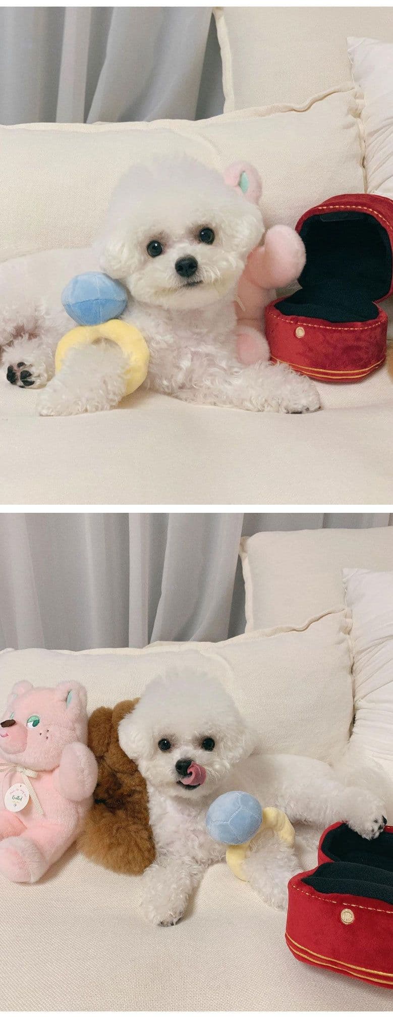 image-Ins Korean diamond ring set dog vocal toy pet Tibetan food toy foreign trade original single pets