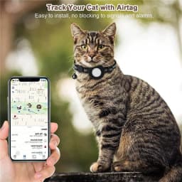 image-Sheng Hongjia Apple Airtag Protective Case Light Green Pet Collar