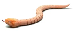 image-Remote Control Rattlesnake Toy - Silver