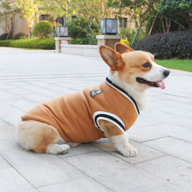 image-Dog Corgi Knitted Sweater Autumn Winter