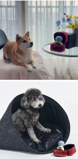 image-Ins Korean diamond ring set dog vocal toy pet Tibetan food toy foreign trade original single pets