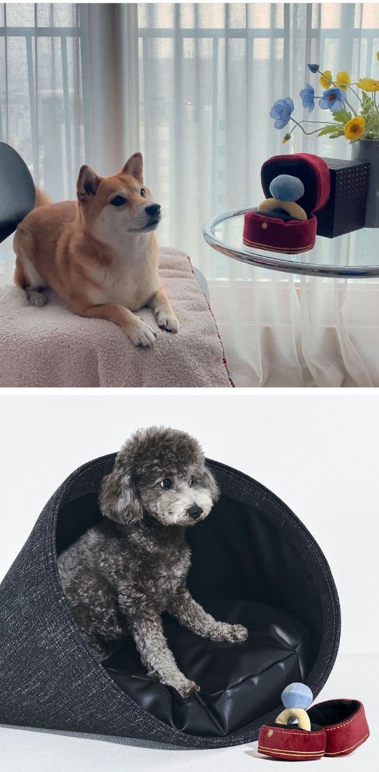image-Ins Korean diamond ring set dog vocal toy pet Tibetan food toy foreign trade original single pets